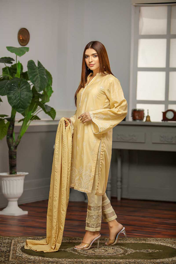 LAWN EMBROIDERED / CLASSICAL GRID - Jacquard.pk
